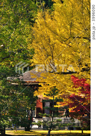 白水阿弥陀堂 3996090