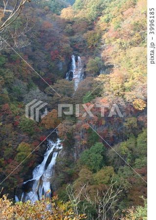 日光霧降の滝 3996185