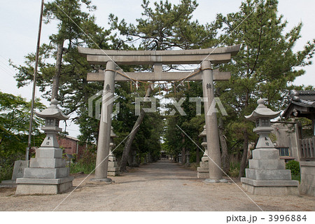 志那神社 3996884