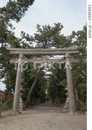 志那神社 志那神社 3996901