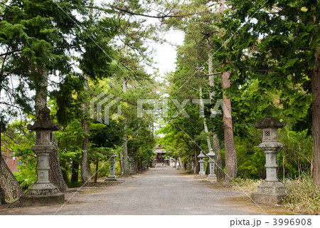 志那神社の参道 3996908