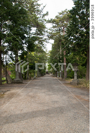 志那神社の参道 3996918