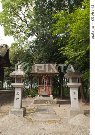 志那神社の摂社　八幡神社 3996943