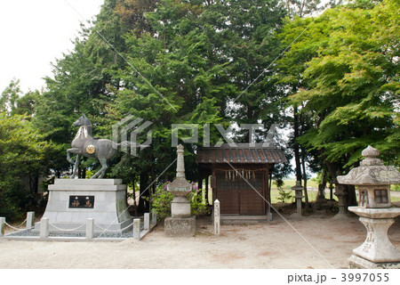 志那神社の境内 志那神社の境内 3997055
