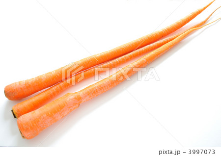 3997073