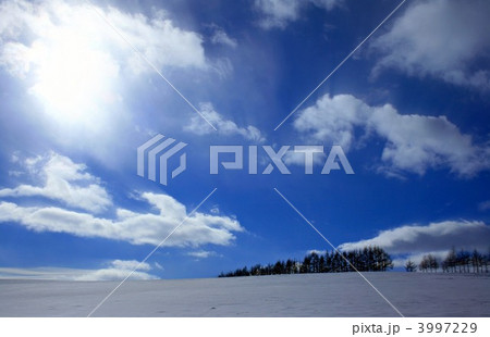 冬の空 3997229