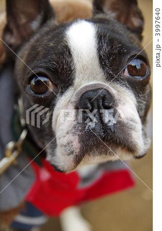 風邪に注意！ 3997640