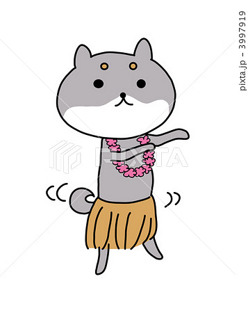 フラダンス 犬 Cgのイラスト素材