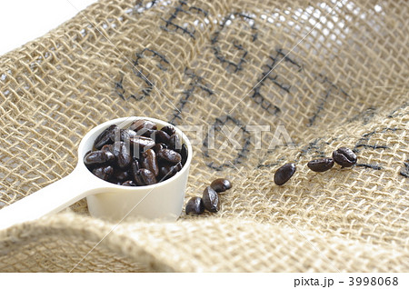 コーヒー豆 3998068