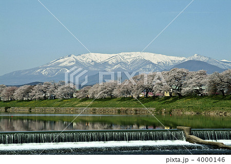 白石川の一目千本桜 4000146