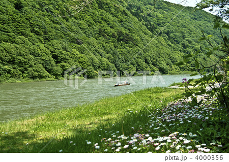 新緑の最上川 4000356
