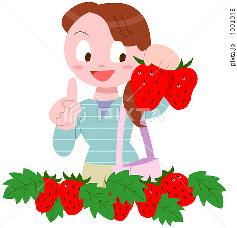 イチゴ狩り女性 イチゴ狩り女性 4001043