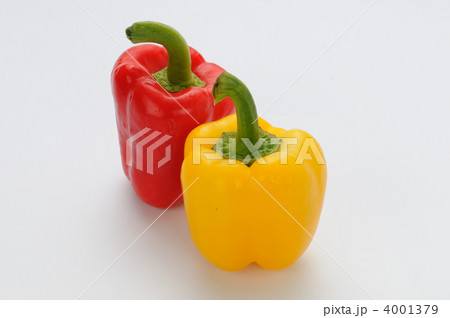 パブリカ 4001379