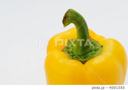 黄色いパブリカ 4001383