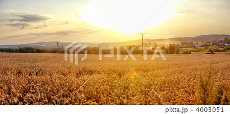 Sunset landscape in Poland Sunset landscape in Poland 4003051
