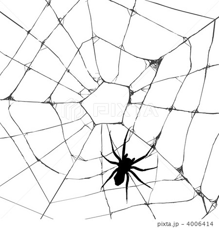 Grunge web spider 4006414