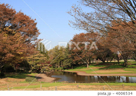 昭和記念公園 昭和記念公園 4006534
