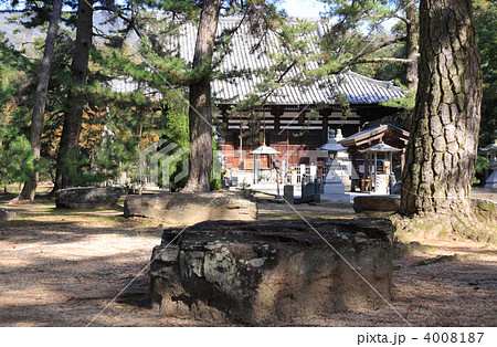 四国霊場第80番札所「（讃岐）国分寺」創建時の金堂礎石と現本堂 4008187