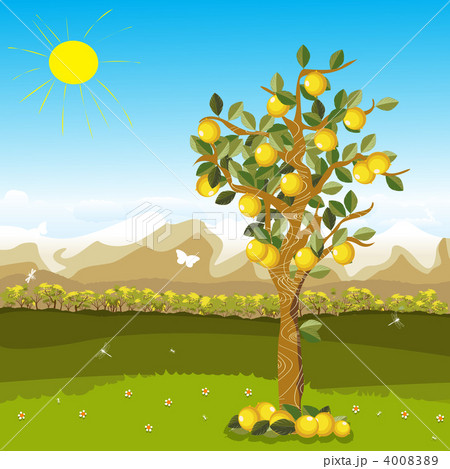 Lemons 4008389