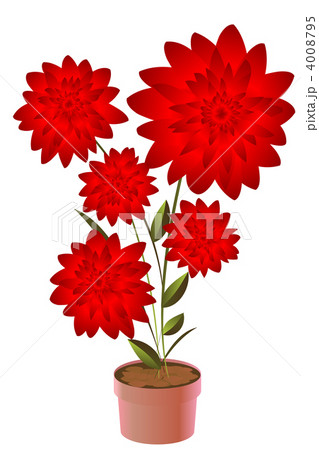 Potted flower 4008795