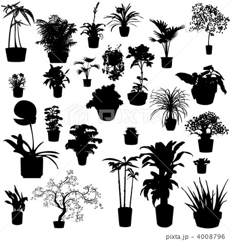 Potted plants 4008796