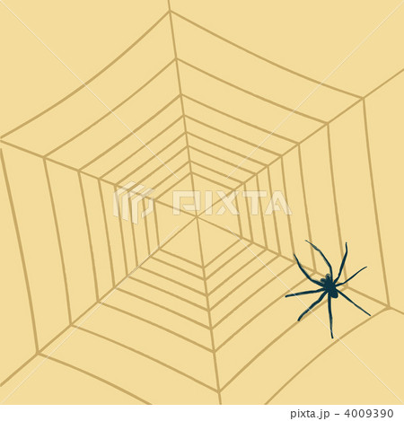 Spider 4009390