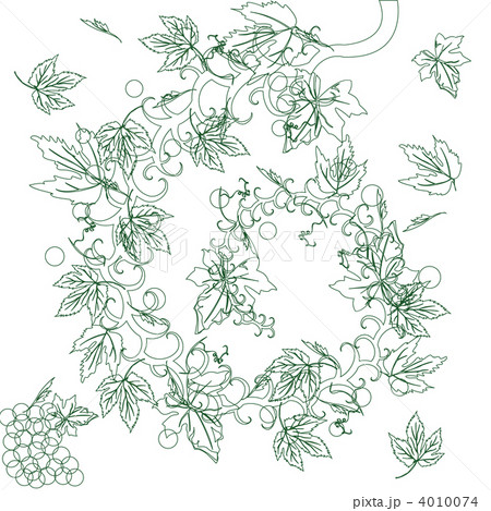 Sketch 4010074