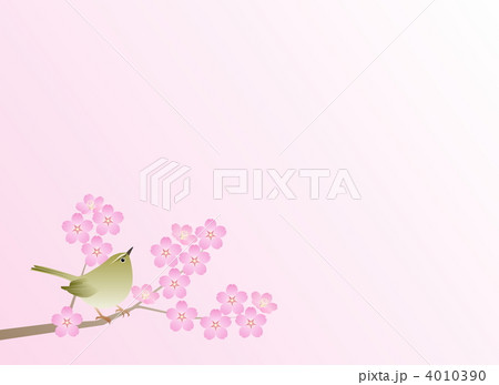 桜に鶯 桜に鶯 4010390
