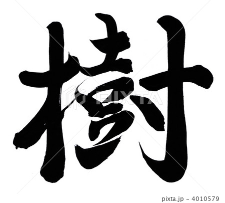 樹 4010579