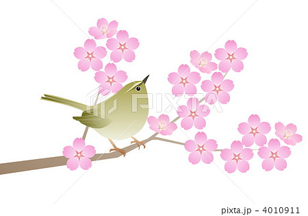 桜に鶯 小 のイラスト素材