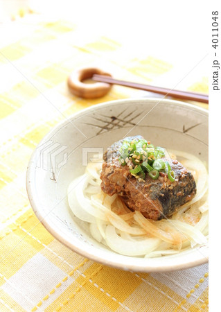 オニオンスライスのサバ味噌煮缶のせ 4011048