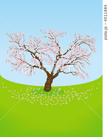 桜の木 満開のイラスト素材 [4011884] - PIXTA