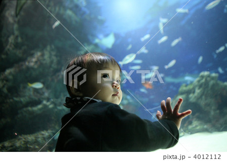 はじめての水族館 4012112