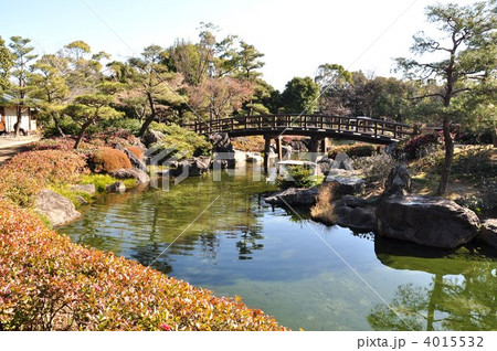 冬の白鳥庭園　中の池 4015532