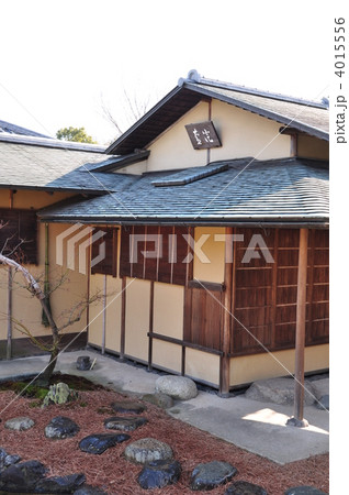 冬の白鳥庭園　清羽亭 4015556