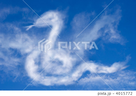 雲蛇 雲蛇 4015772