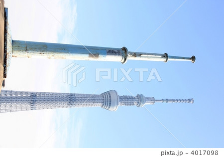 2本のスカイツリー 2本のスカイツリー 4017098