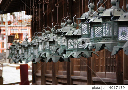 春日大社 4017139