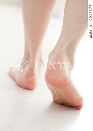 4017172