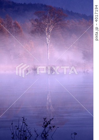幻の小田代湖と貴婦人 4017194