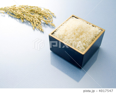 五穀豊穣 4017547