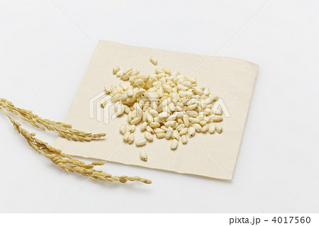 ポン菓子 4017560