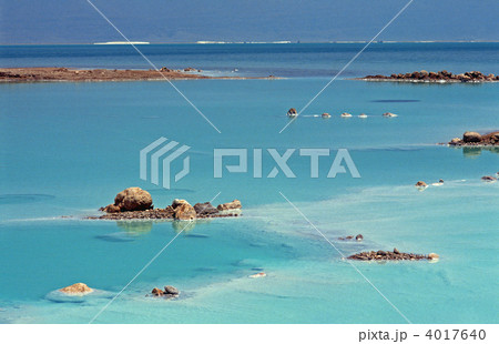 死海 死海 4017640