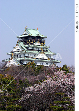 大阪城と桜 大阪城と桜 4017803