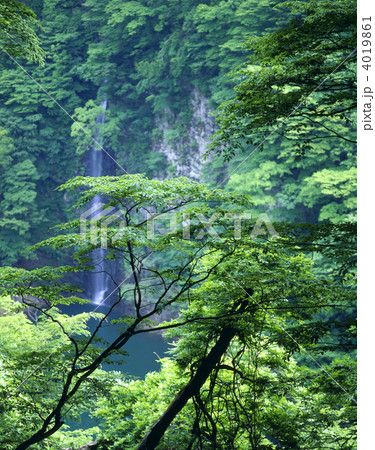 回顧の滝 4019861