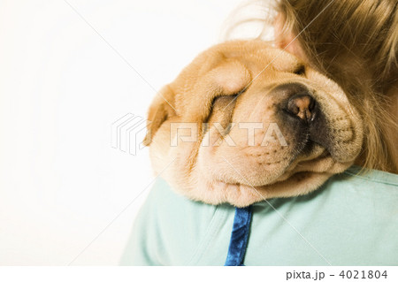 Loving my puppy 4021804
