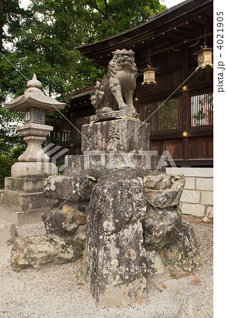 惣社神社　本殿の吽の狛犬 4021905