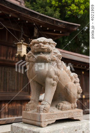 惣社神社　本殿の阿の狛犬 4021909
