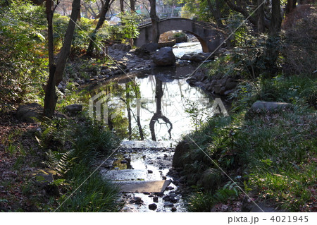 有栖川宮記念公園の小川 有栖川宮記念公園の小川 4021945
