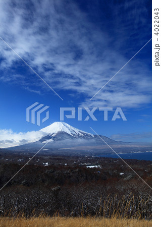 富士山-2012.1 4022043